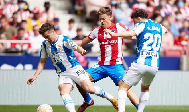 年轻球员的 年轻球员的